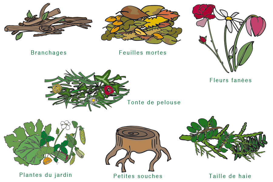 Déchets verts